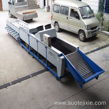 Automatic Fruit & Vegetable Sorting Machine